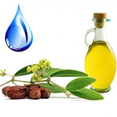 Масло Жожоба водорастворимое 